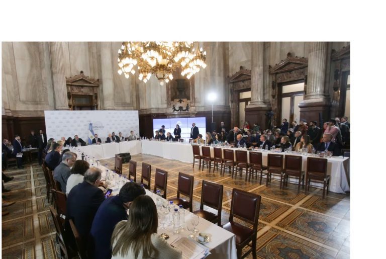 COMISION-SENADO-LEY-DE-BASES-2